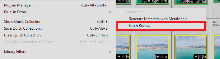 Lightroom Plug-in Extras menu with Batch Review highlighted